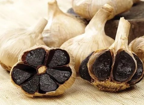 تصویر 1 از قیمت سیر سیاه شمال + خرید باور نکردنی